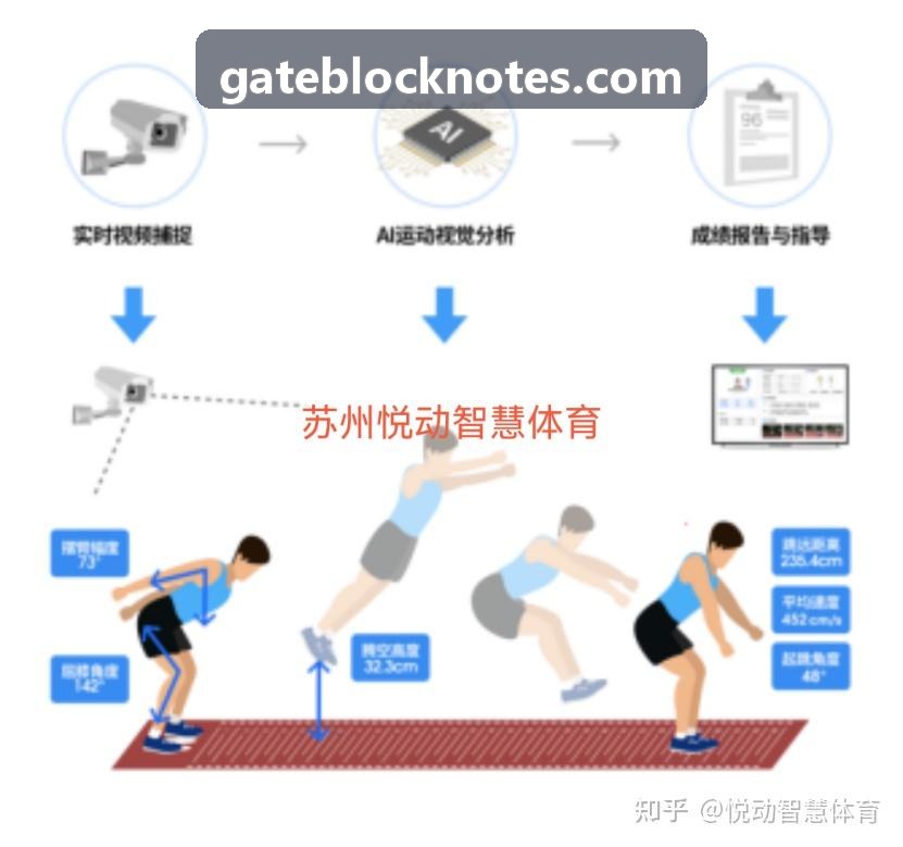 Gate-黑天鹅压力测试平台
